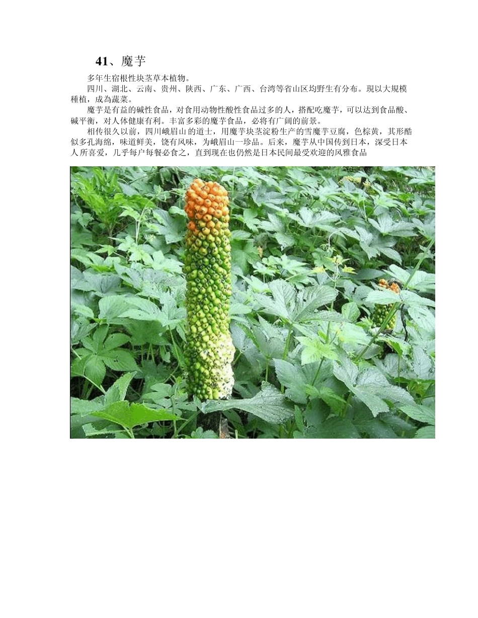中国常见野菜及其食用3_第1页