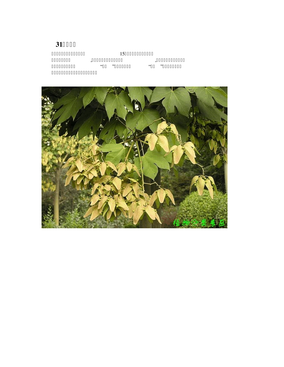 中国常见野菜及其食用7_第1页