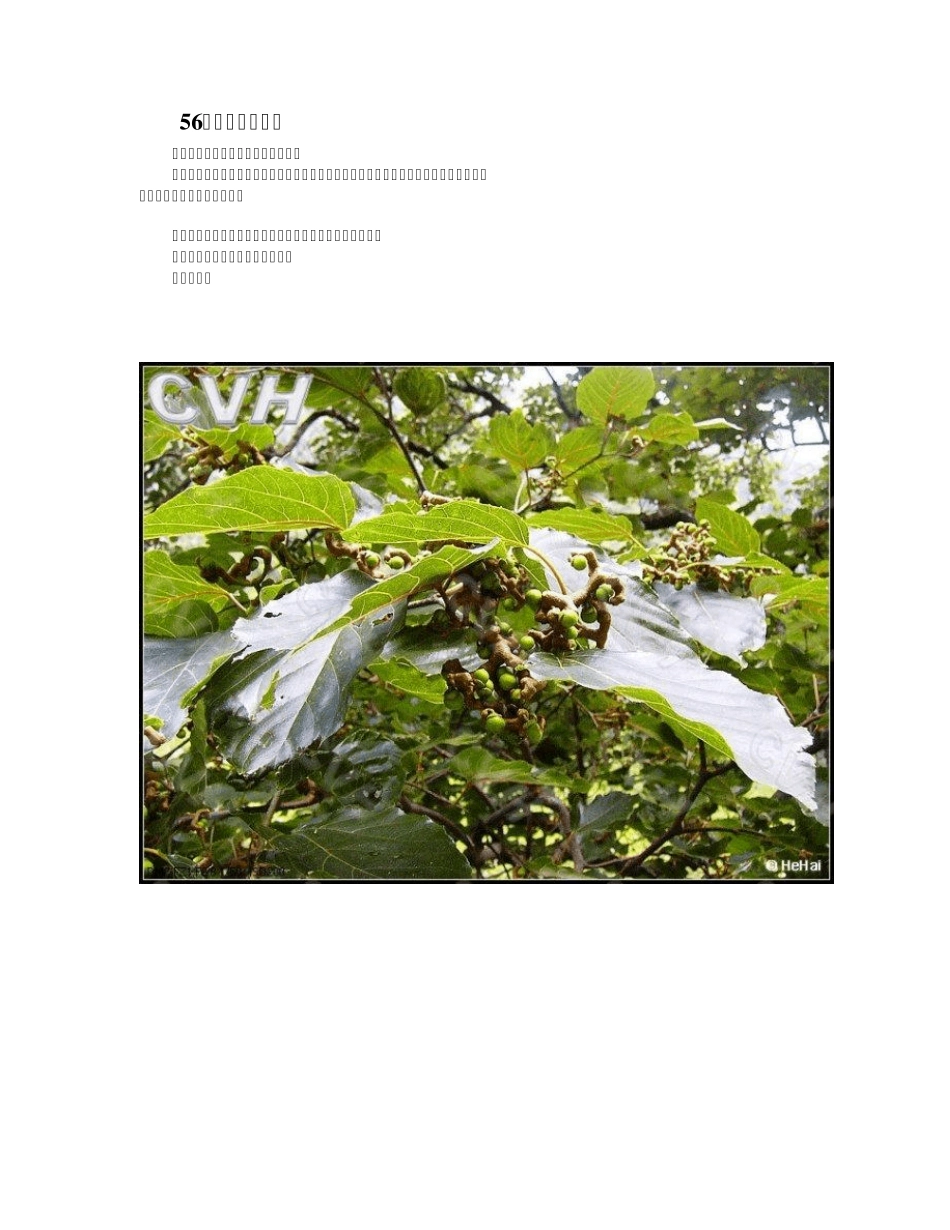 中国常见野菜及其食用6_第1页