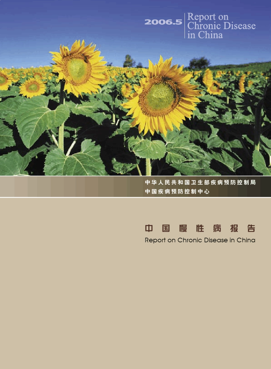 中国慢性病报告_第1页
