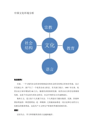 中国文化环境分析