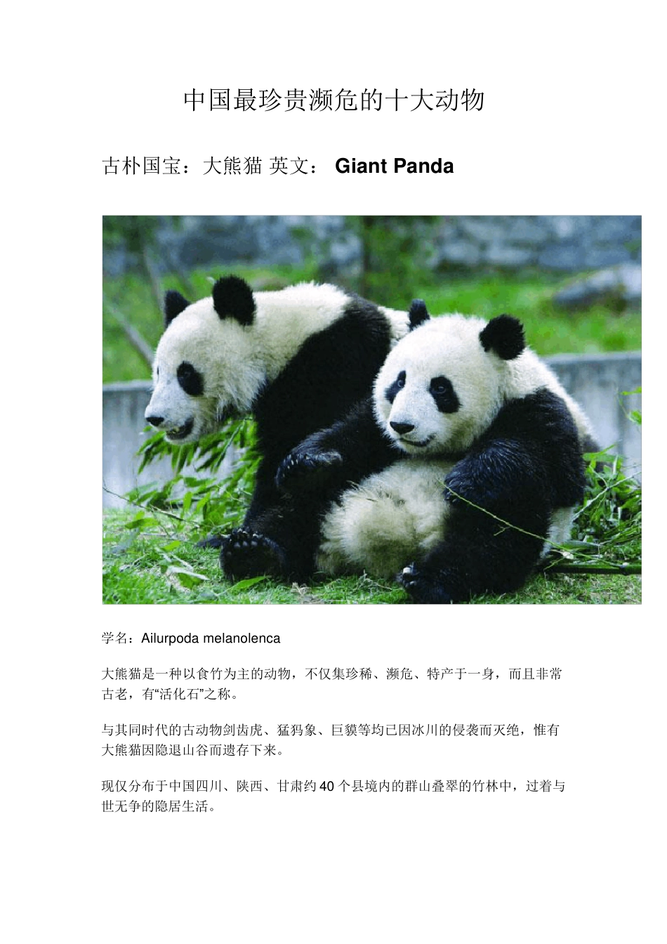 中国最珍贵濒危的十大动物_第1页