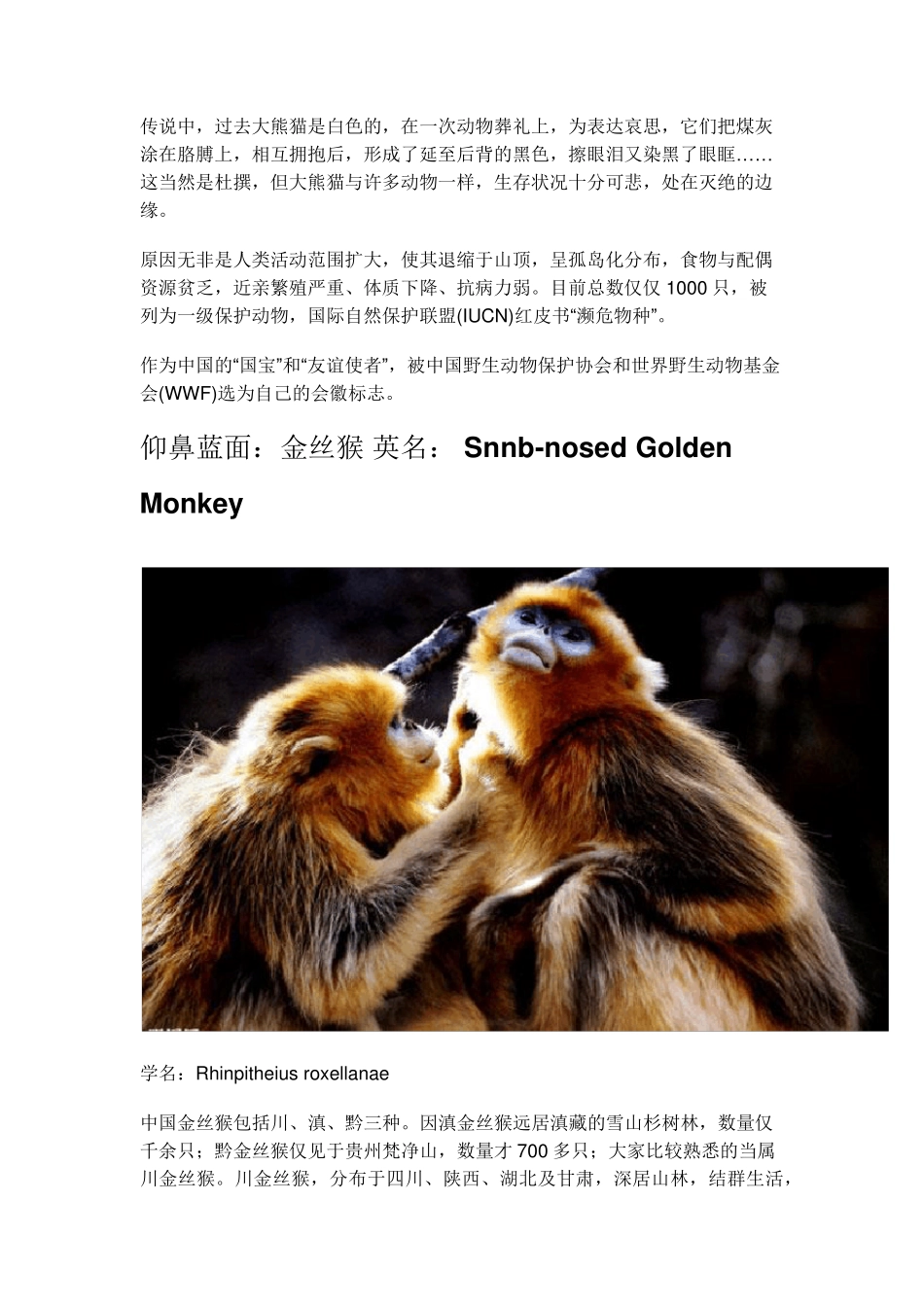 中国最珍贵濒危的十大动物_第2页