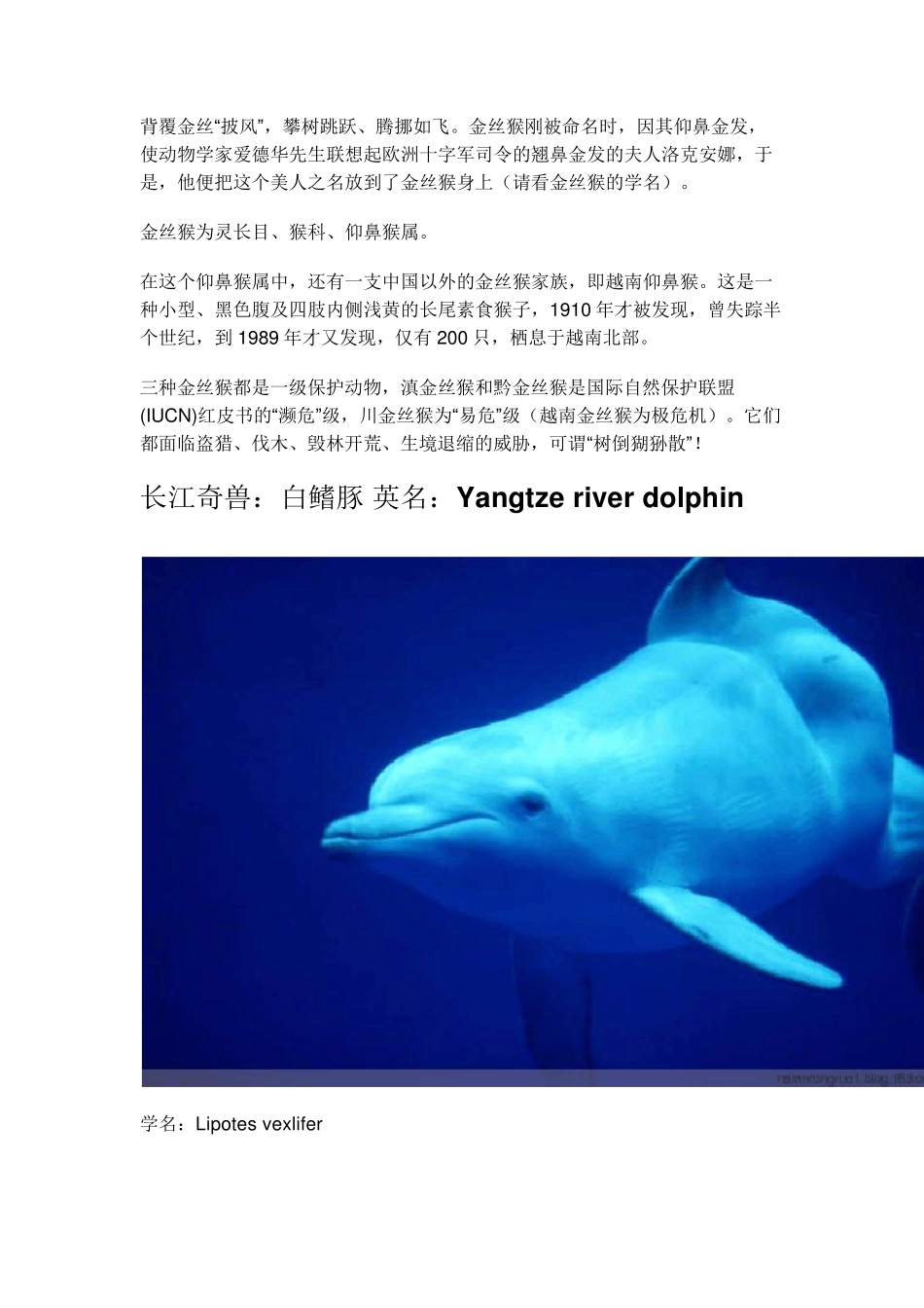 中国最珍贵濒危的十大动物_第3页