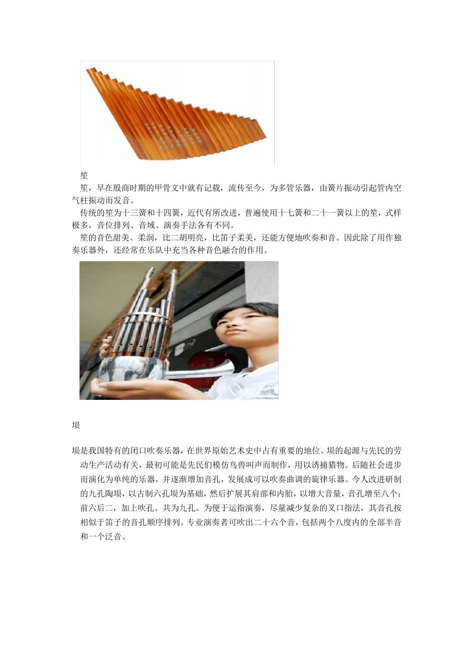 中国民族乐器与西洋乐器_第2页