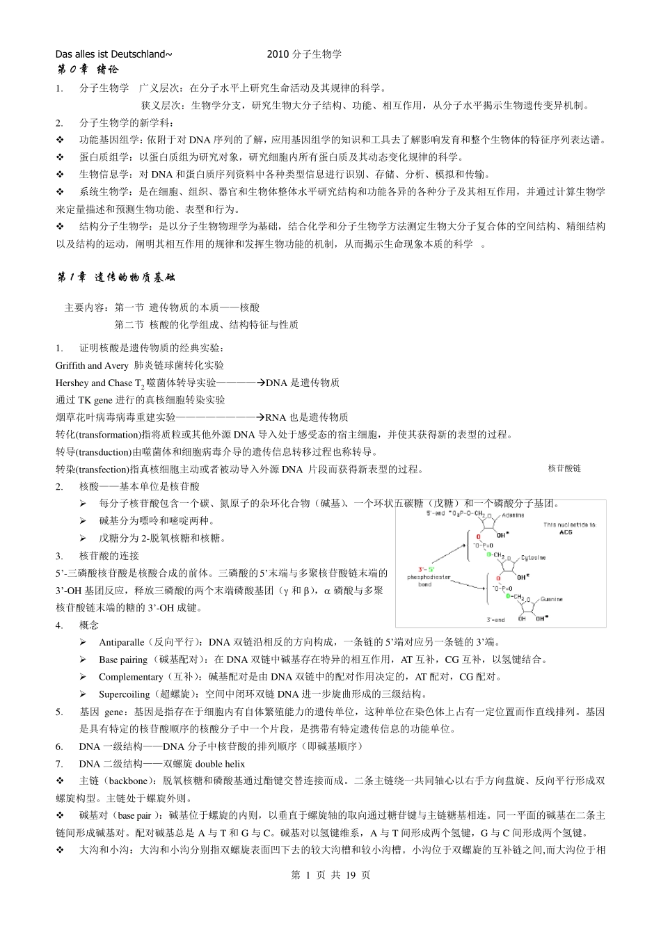 中国海洋大学分子生物学复习资料_第1页