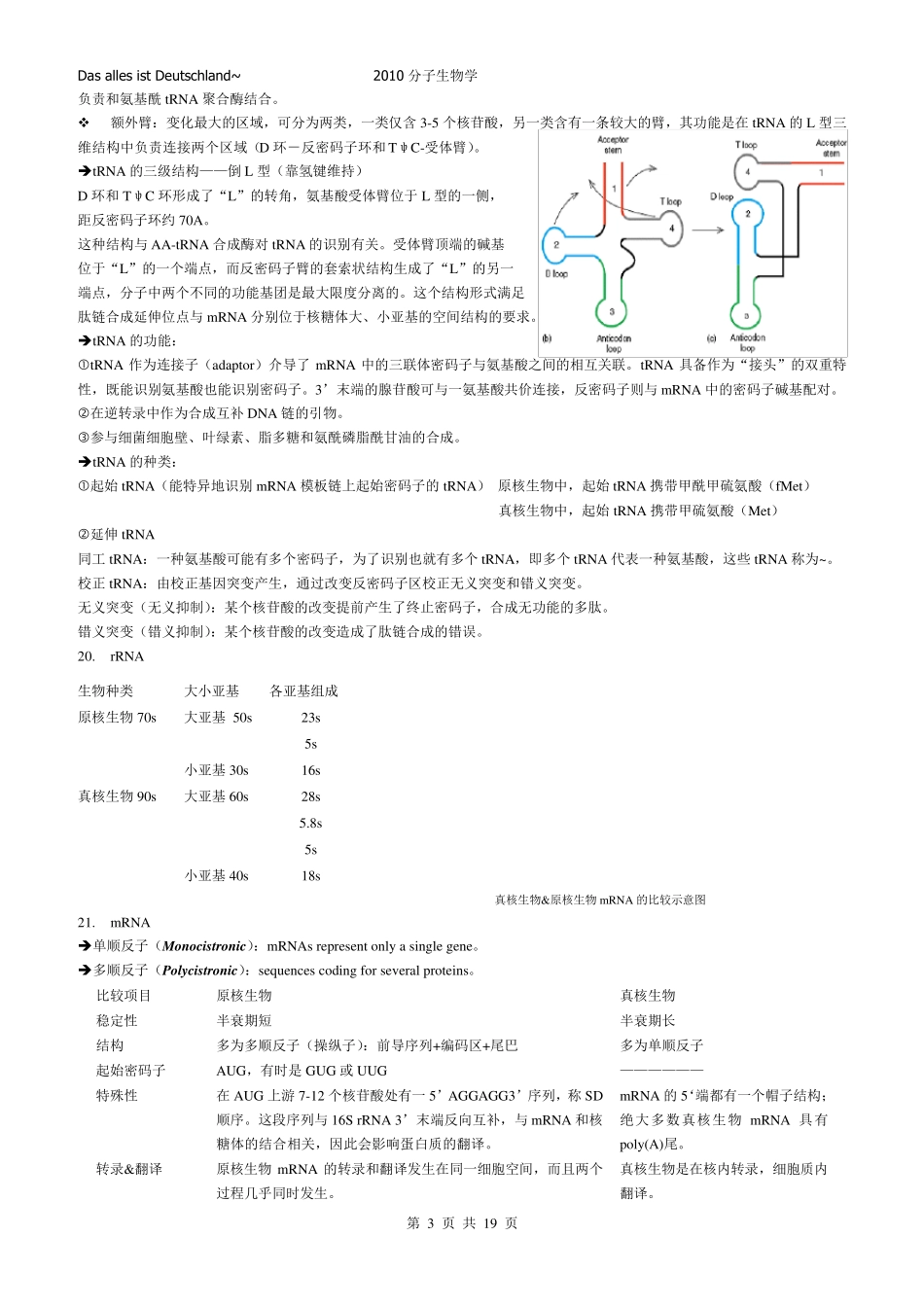 中国海洋大学分子生物学复习资料_第3页