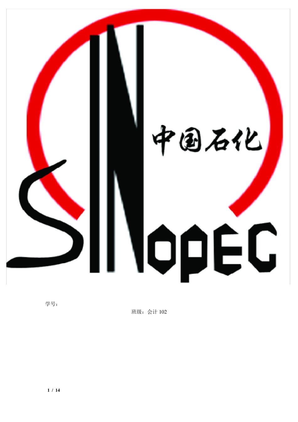 中国石油化工集团公司会计制度与内部控制设计_第1页