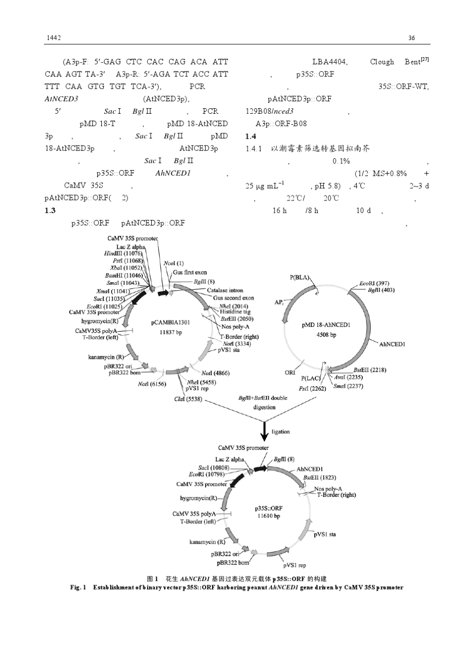 中国科学技术协会_第3页