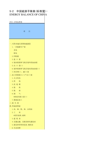 中国能源平衡表(标准量)2009