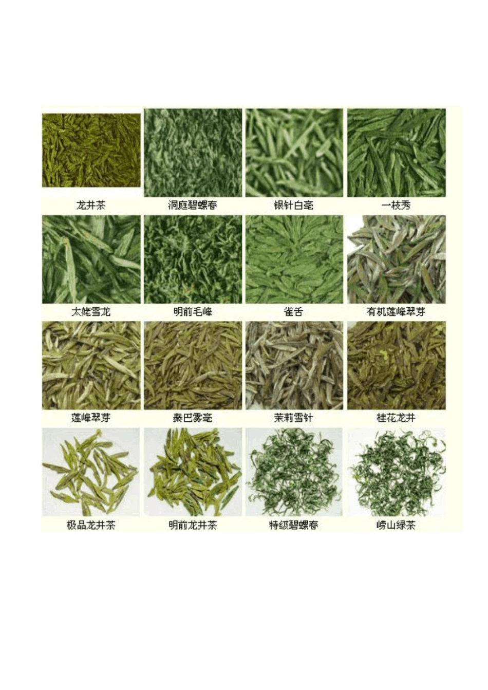 中国茶叶大全(图)_第1页