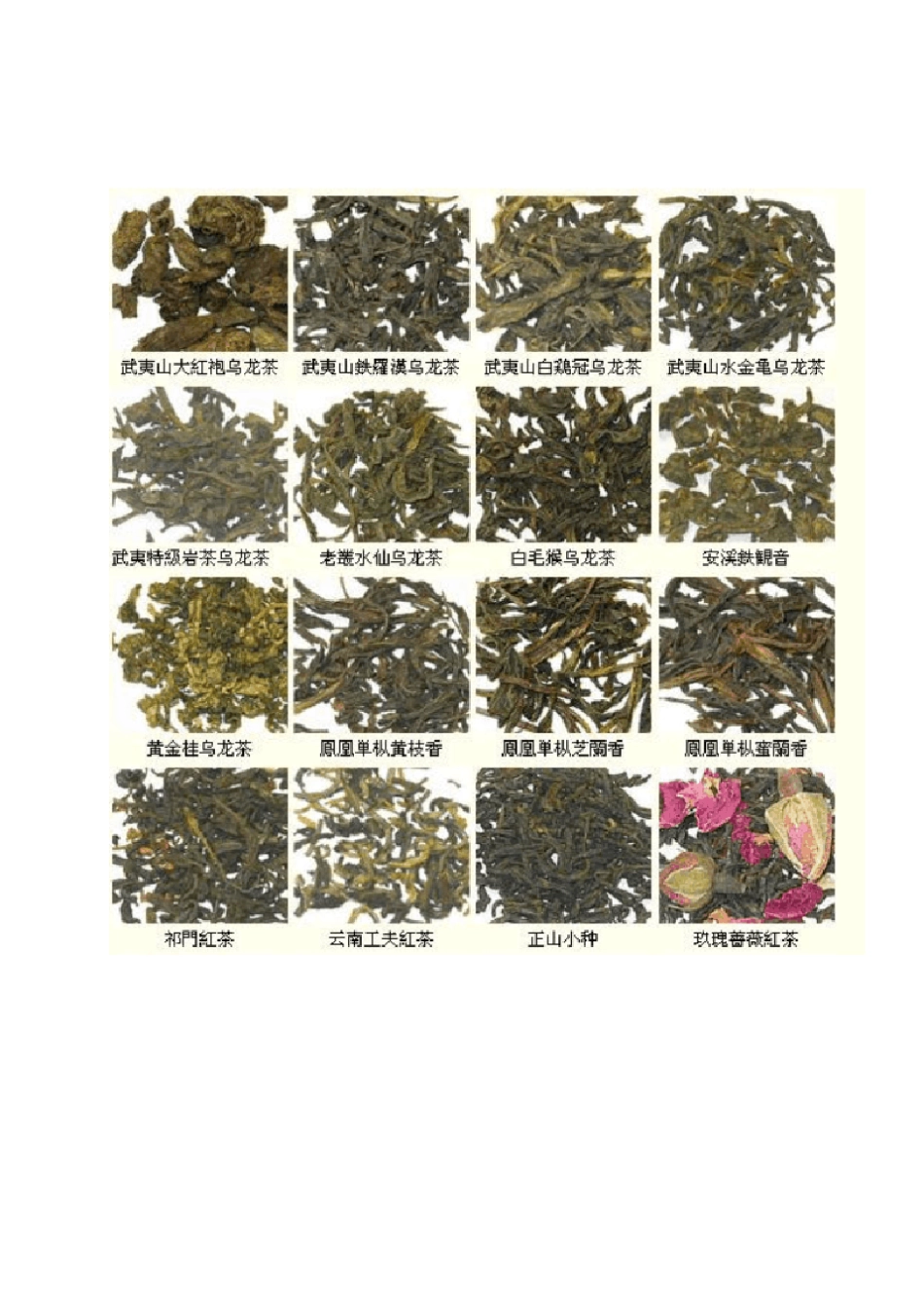 中国茶叶大全(图)_第3页