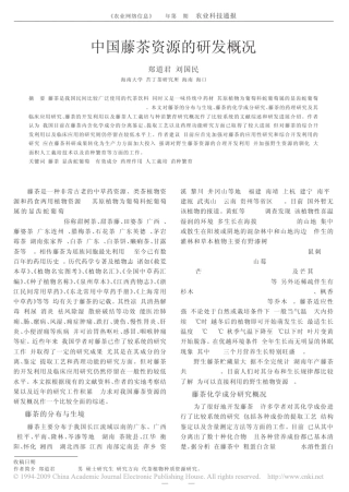中国藤茶资源的研发概况