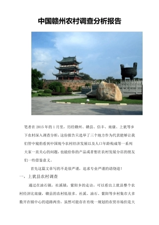 中国赣州乡镇经济发展调查分析报告