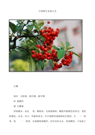中国野生水果大全