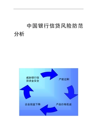 中国银行信贷风险防范分析_0