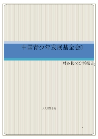 中国青少年发展基金会财务分析报告1