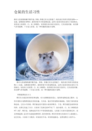 仓鼠的生活习性