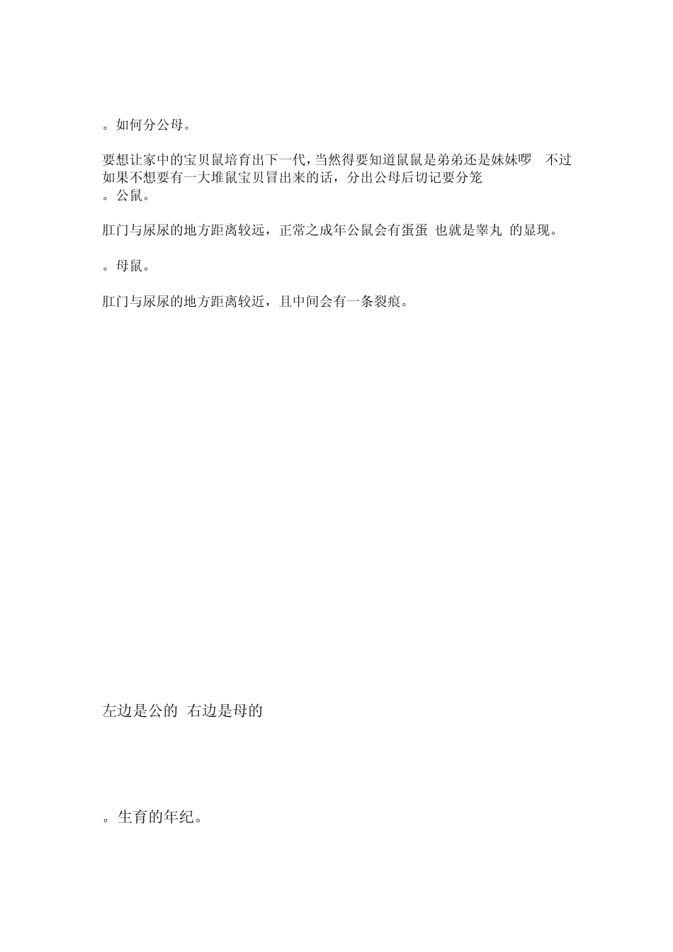 仓鼠饲养手册大全_第3页