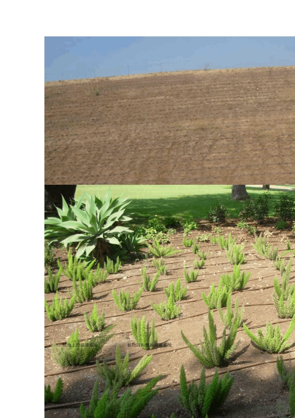 以色列节水灌溉农业_第3页