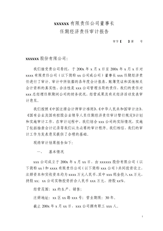 任期经济责任审计报告