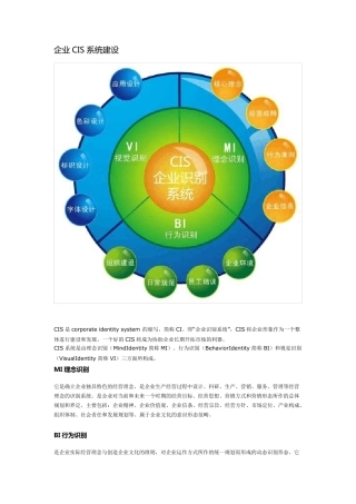 企业CIS系统建设