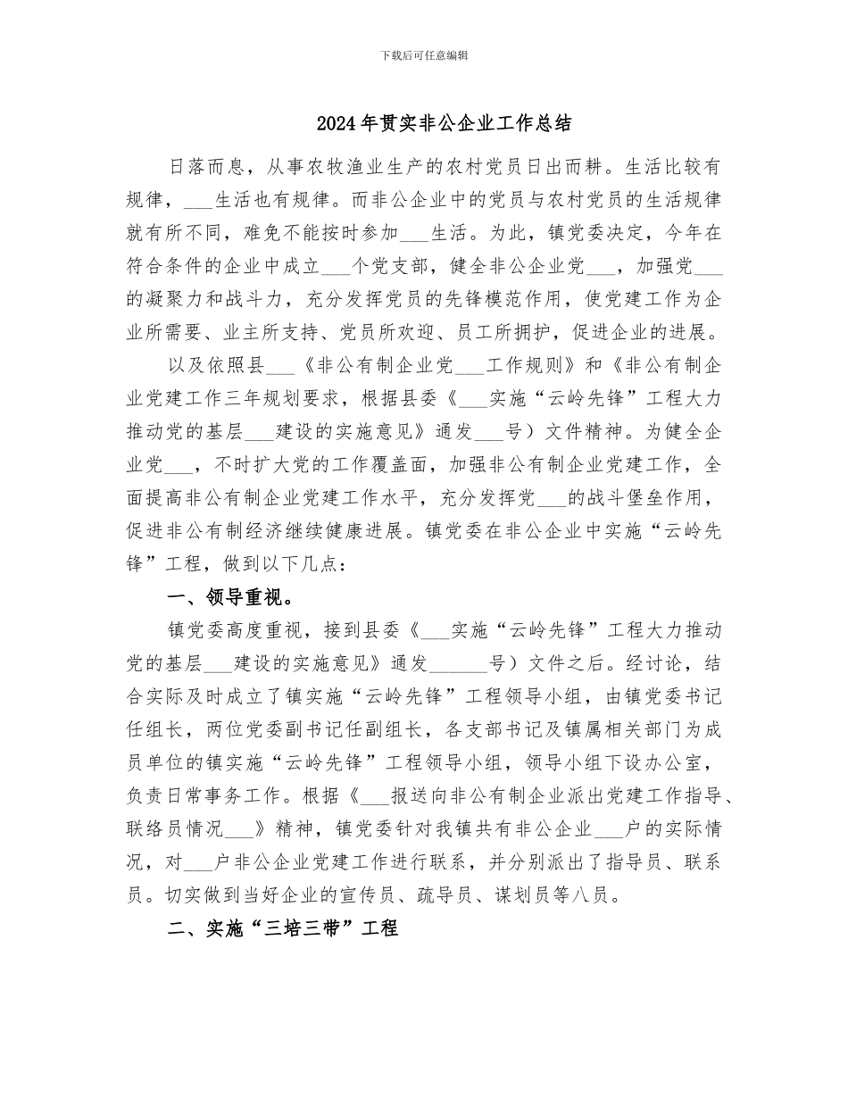2024年贯实非公企业工作总结_第1页