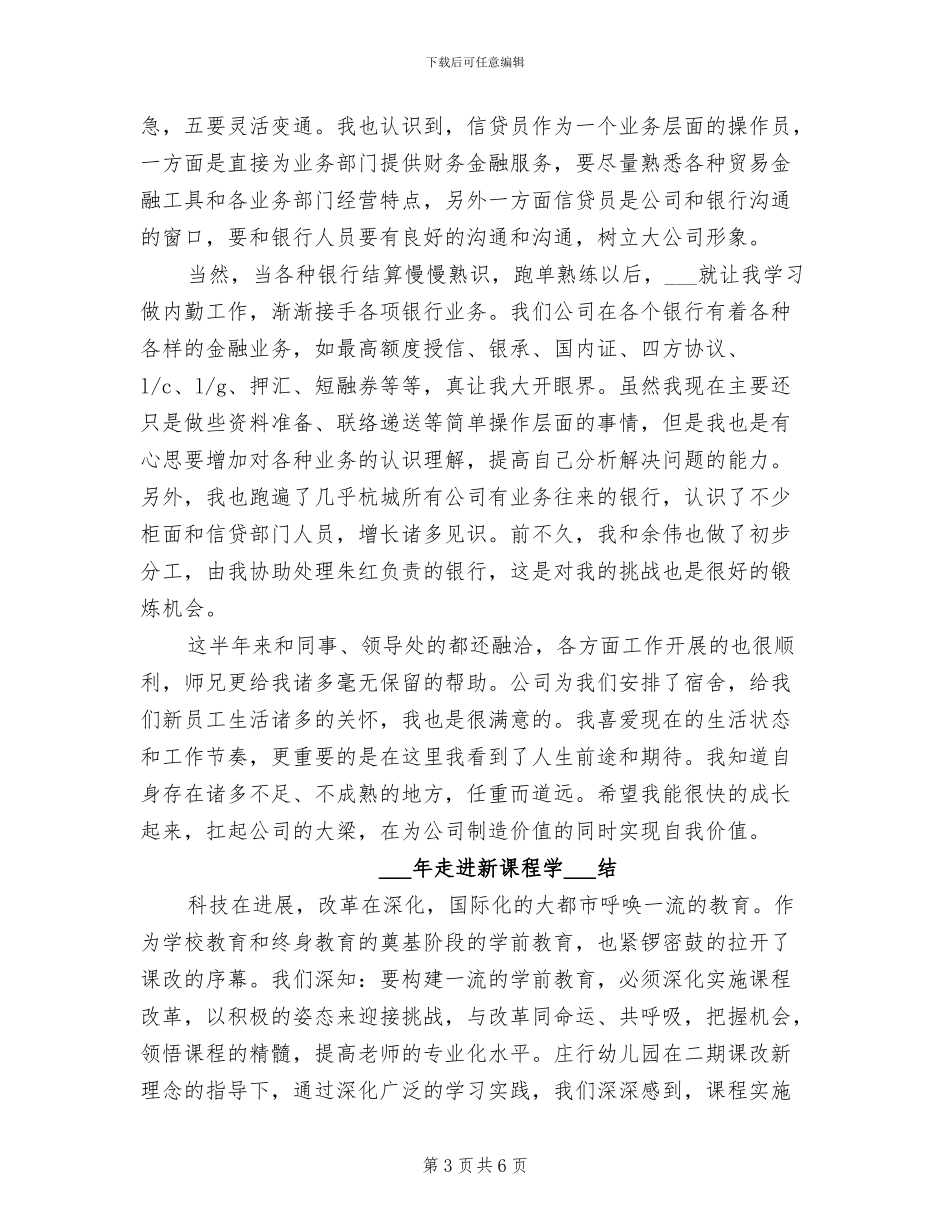 2024年资金部信贷员试用期工作总结_第3页