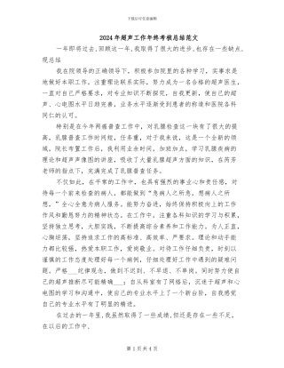 2024年超声工作年终考核总结范文