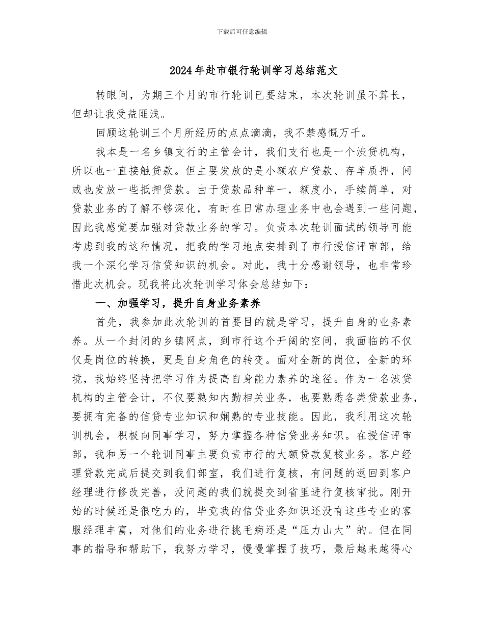 2024年赴市银行轮训学习总结范文_第1页