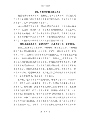 2024年超市促销员实习总结