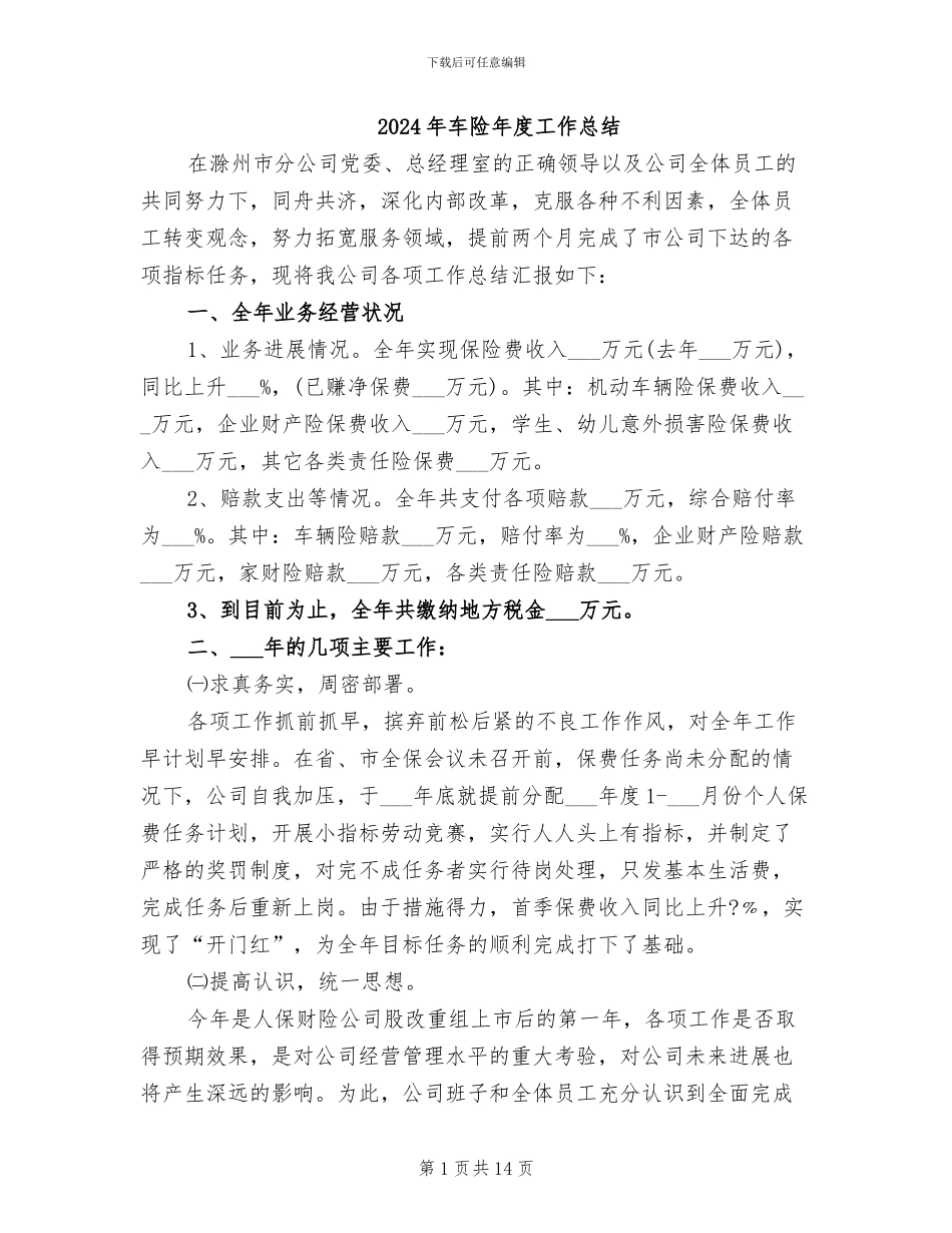 2024年车险年度工作总结_第1页