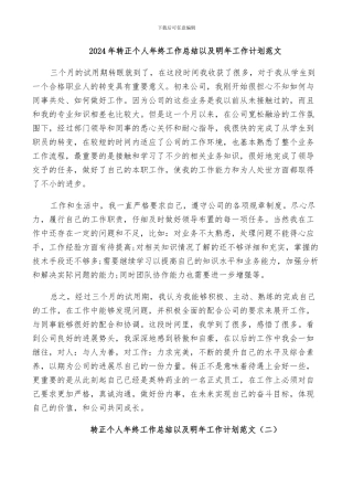 2024年转正个人年终工作总结以及明年工作计划范文