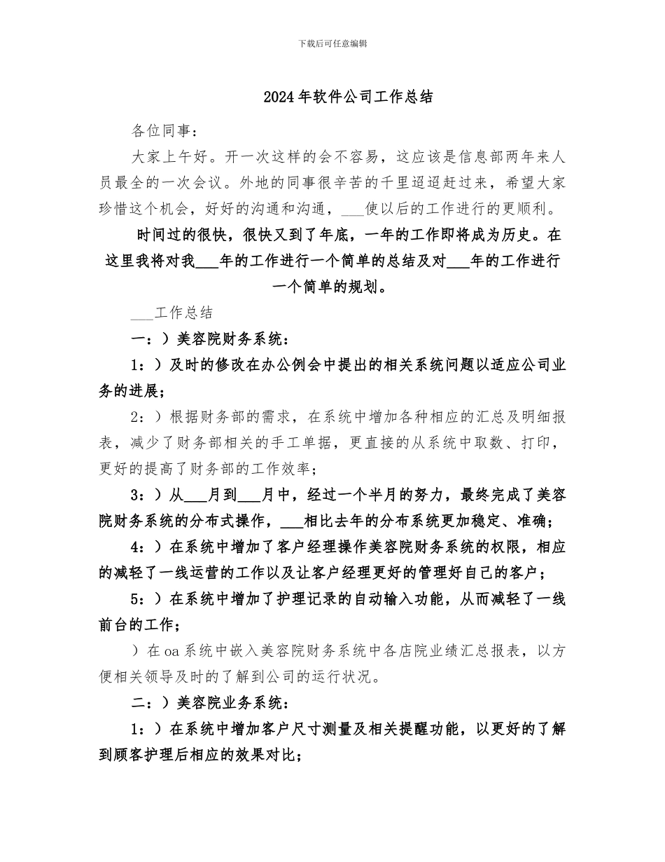 2024年软件公司工作总结_第1页