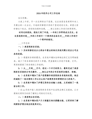 2024年软件公司工作总结