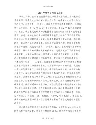 2024年软件公司实习总结