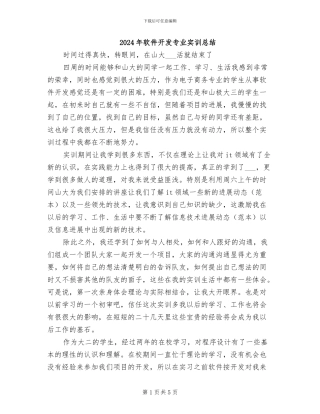 2024年软件开发专业实训总结