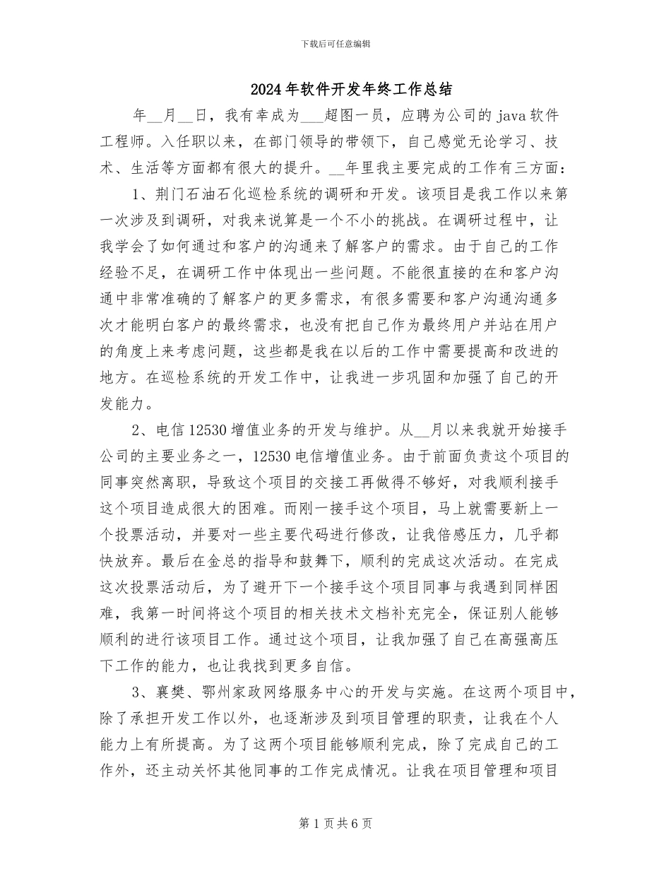 2024年软件开发年终工作总结_第1页