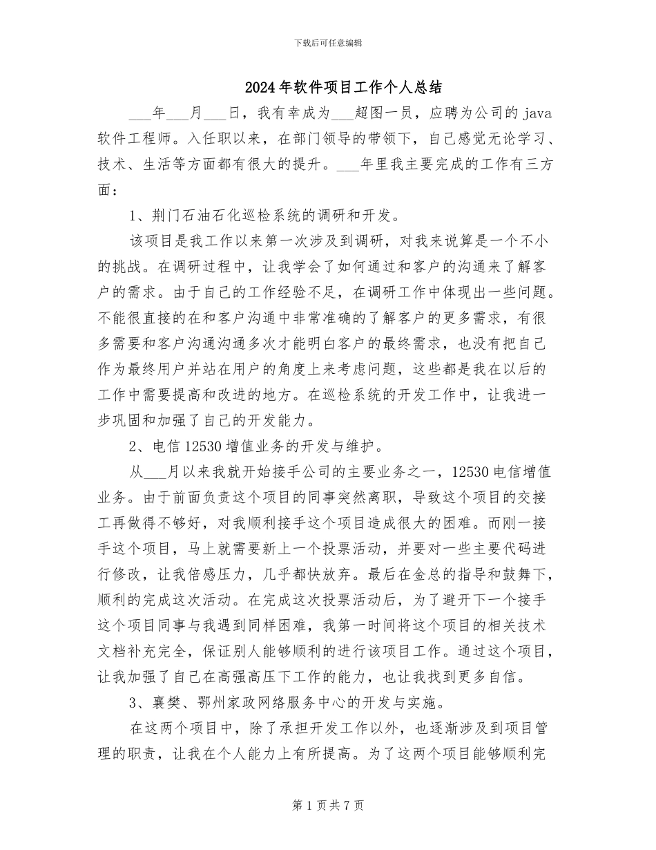 2024年软件项目工作个人总结_第1页