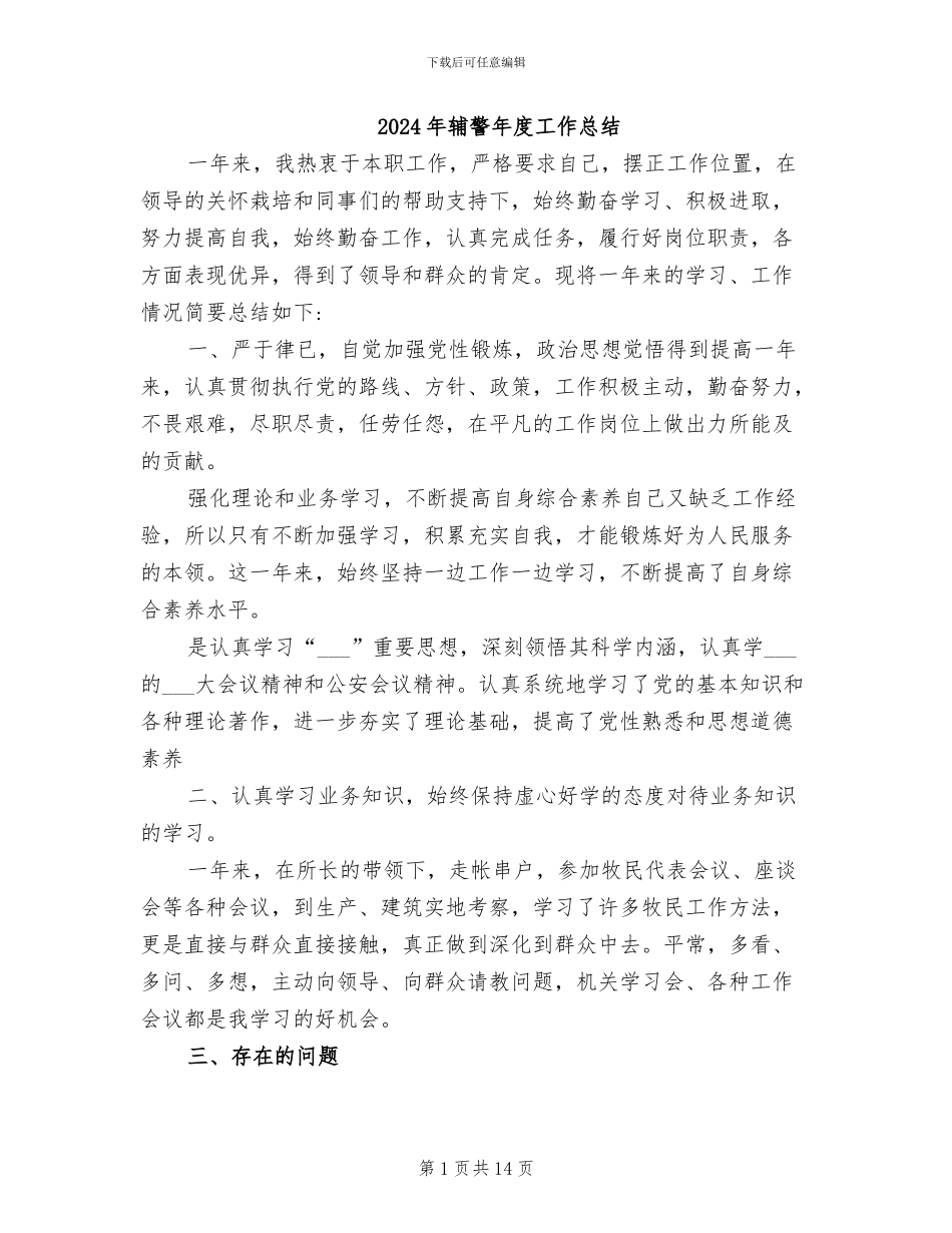 2024年辅警年度工作总结_第1页