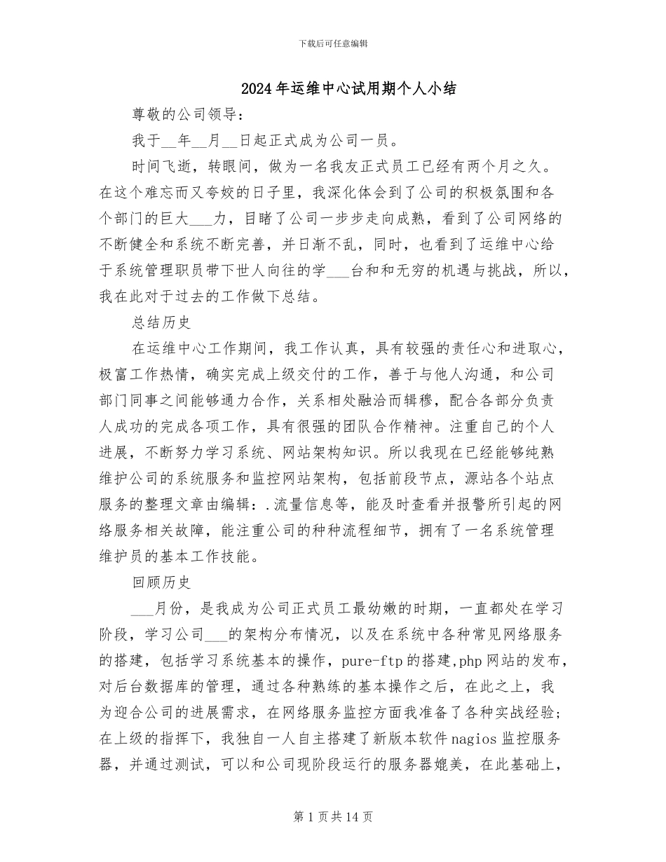 2024年运维中心试用期个人小结_第1页