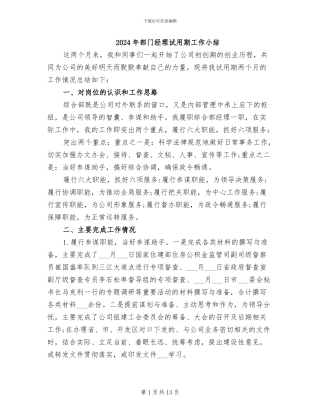 2024年部门经理试用期工作小结