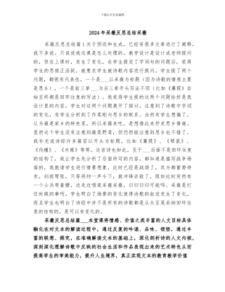 2024年采薇反思总结采薇