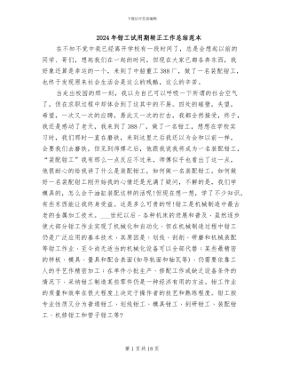 2024年钳工试用期转正工作总结范本