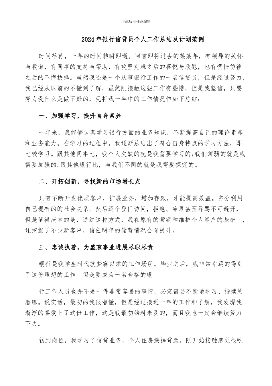 2024年银行信贷员个人工作总结及计划范例_第1页