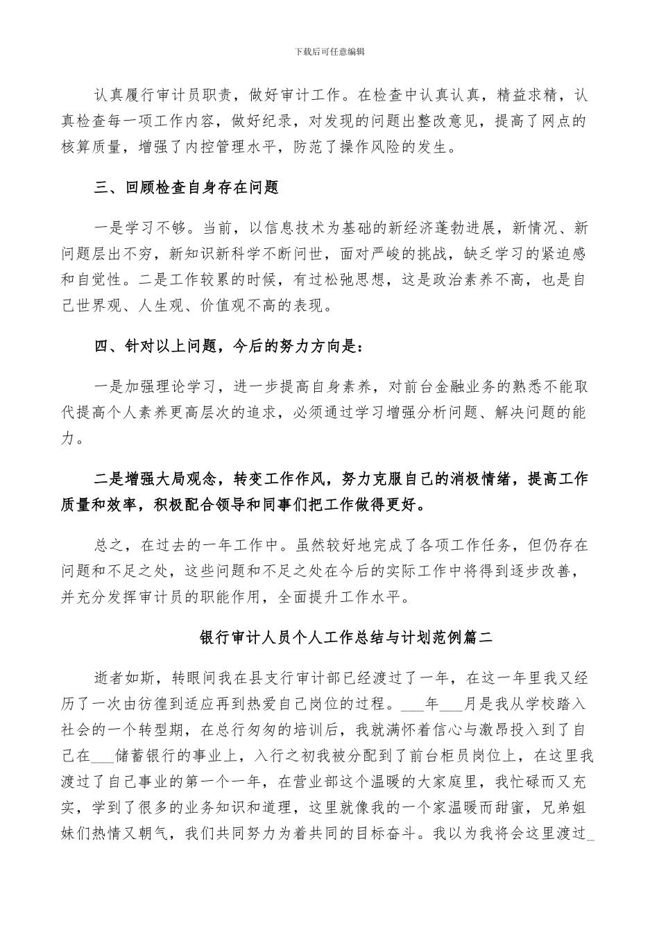 2024年银行审计人员个人工作总结与计划_第2页