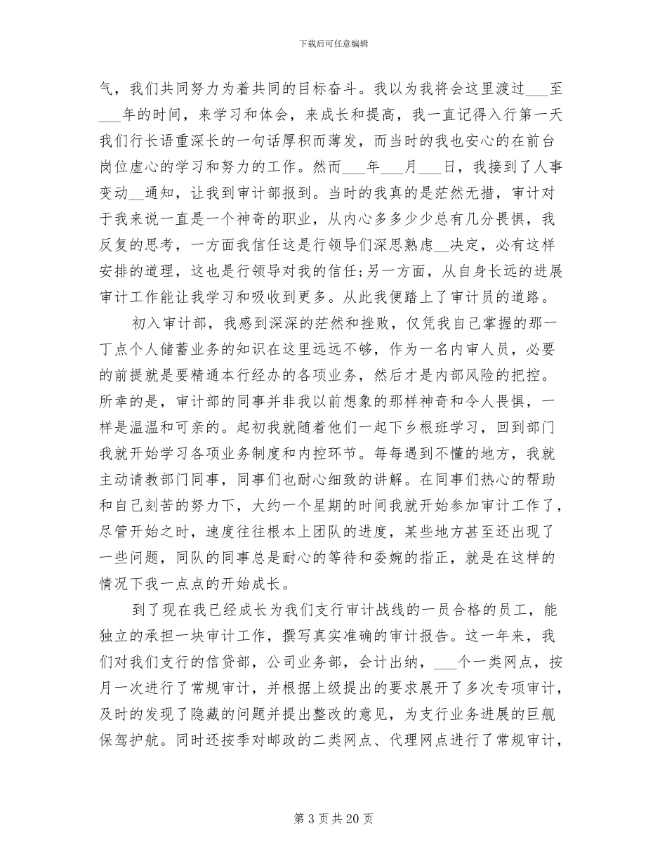 2024年银行审计人员个人工作总结与计划精选_第3页