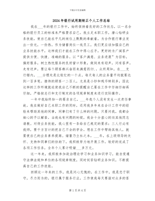 2024年银行试用期转正个人工作总结