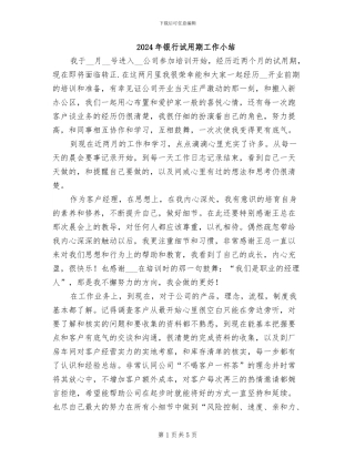 2024年银行试用期工作小结