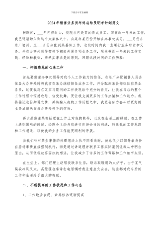 2024年销售业务员年终总结及明年计划范文